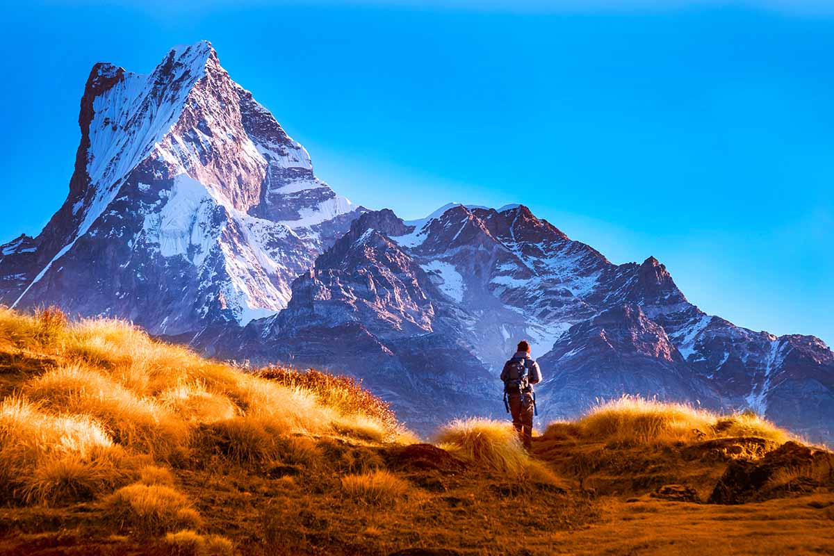 Great Offers Coming on Mardi Himal Trek